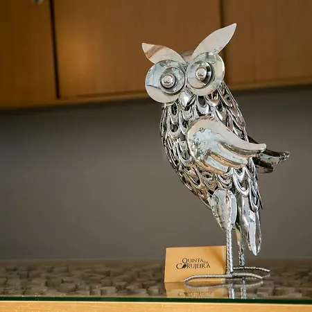 Quinta Da Corujeira * Вила-Реал